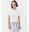 CAMISETA ALGODÓN BASIC BASIC