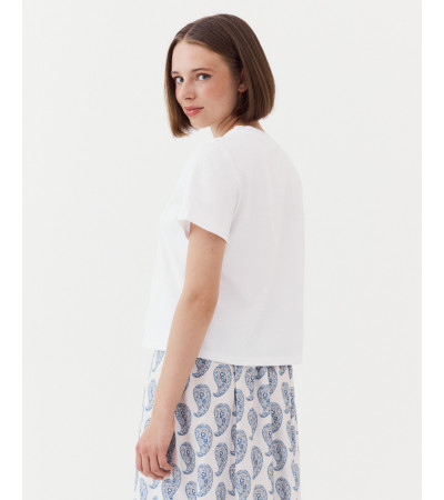 CAMISETA ALGODÓN BASIC BASIC