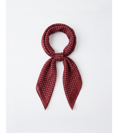 PAÑUELO ESTAMPADO PUNTOS BORDES PERFILADOS | MULAYA