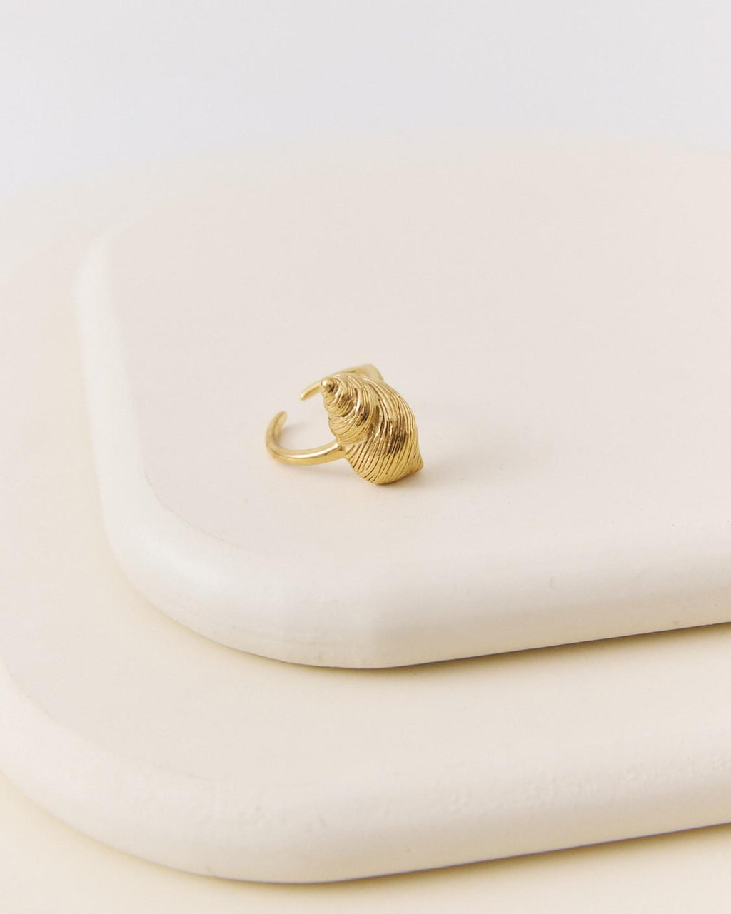 ANILLO CONCHA MARINA