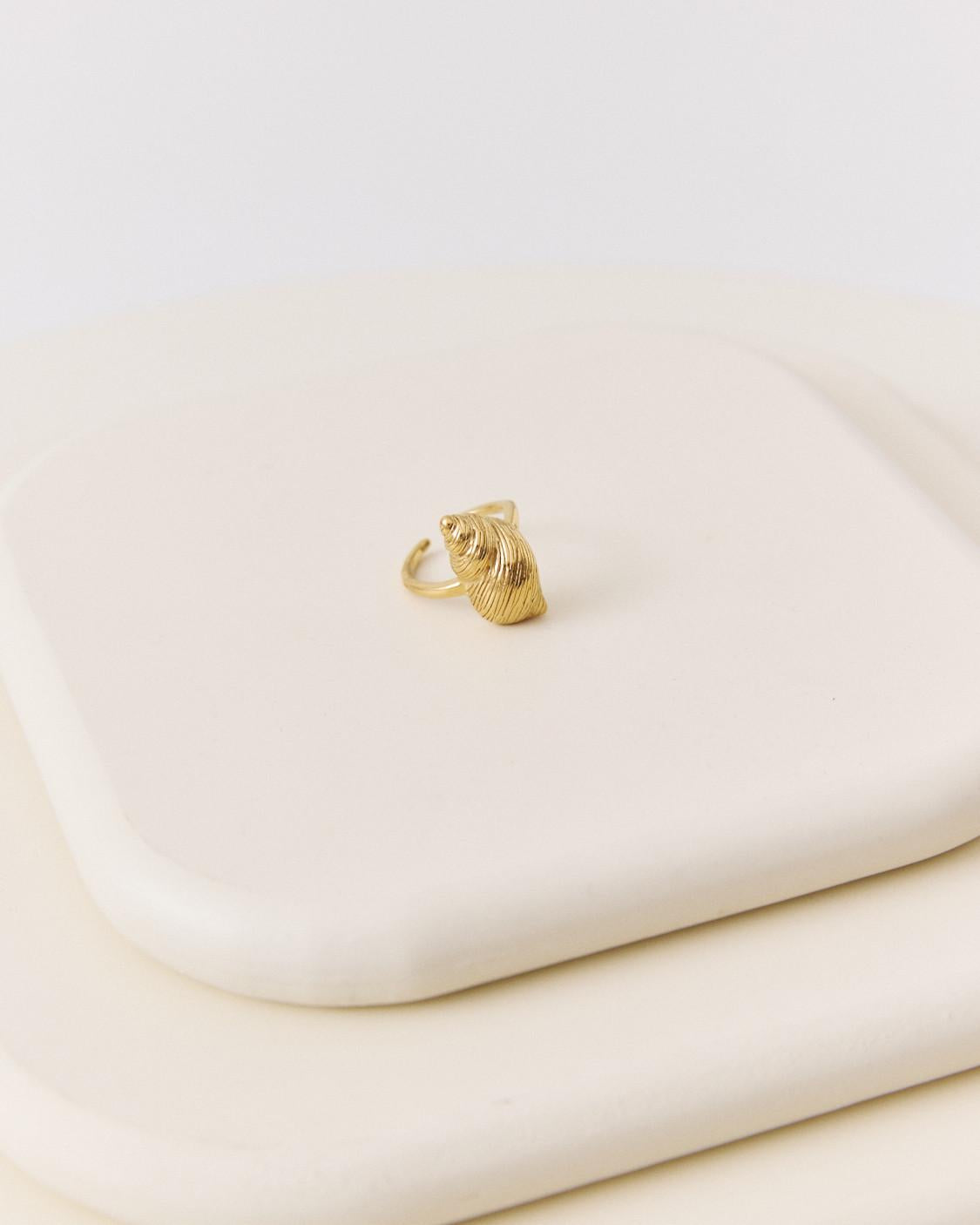 ANILLO CONCHA MARINA