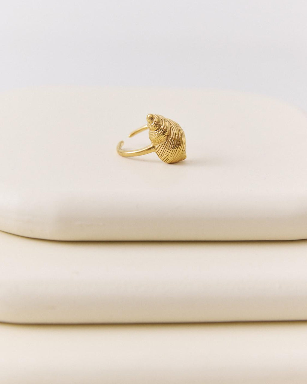 ANILLO CONCHA MARINA