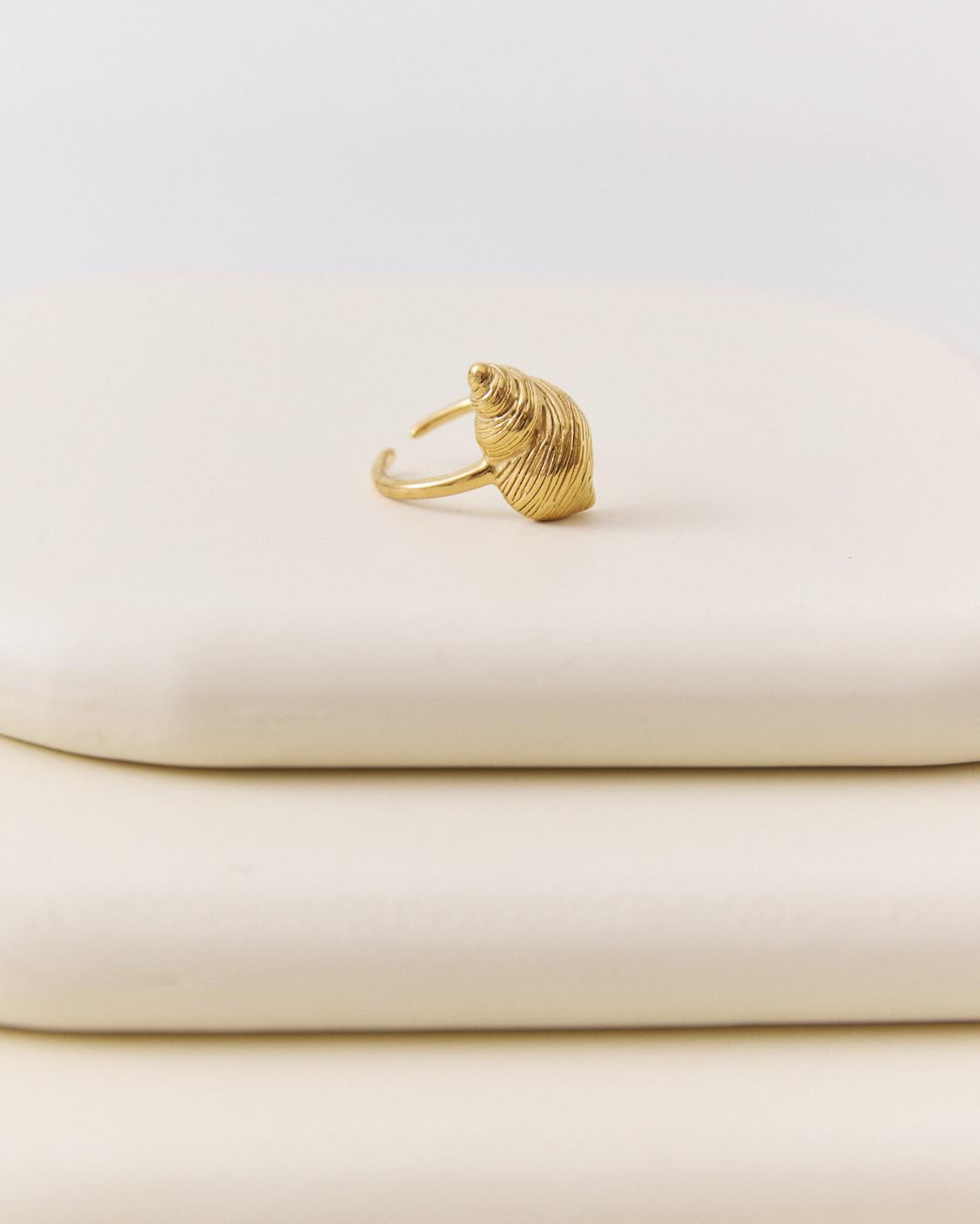 ANILLO CONCHA MARINA